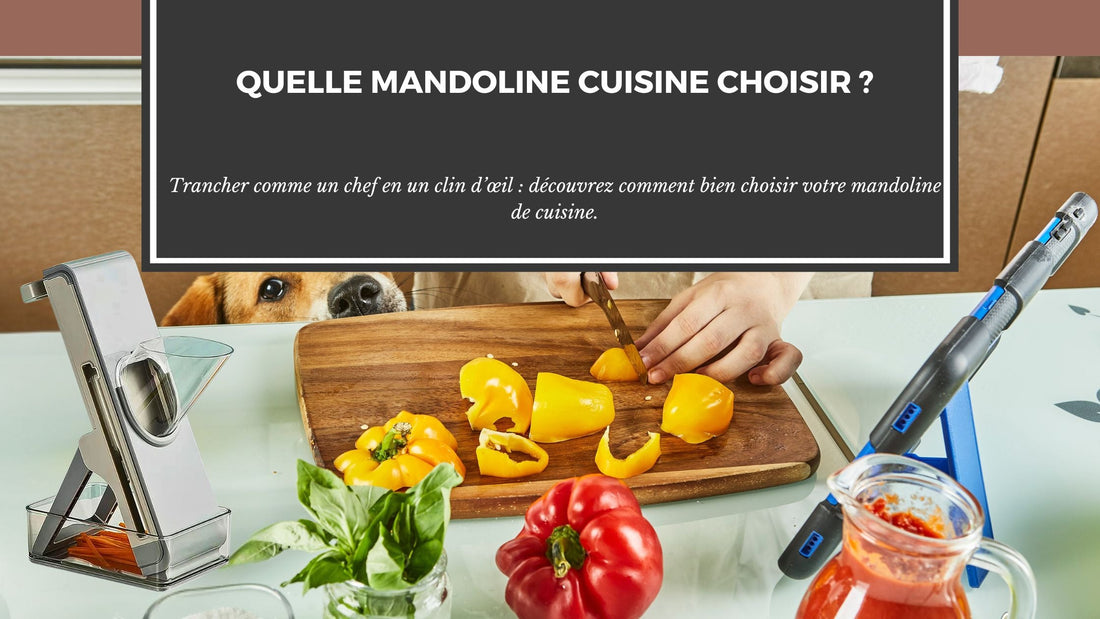 QUELLE MANDOLINE CUISINE CHOISIR ?
