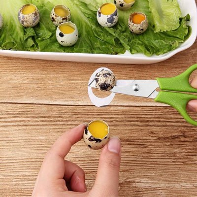 Coupe oeuf dans la main d'une femme qui l'utilise pour ouvrir un oeuf de caille