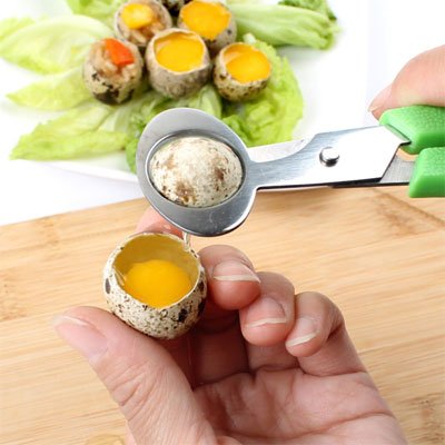 Coupe oeuf qui ouvre un oeuf de caille