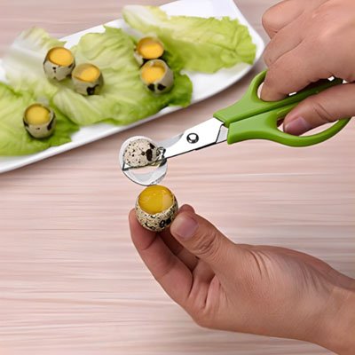 Coupe oeuf spécial oeuf de caille utilisé en cuisine